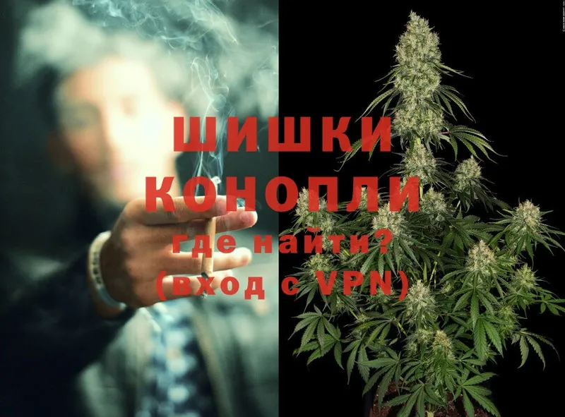 где найти   Любань  Конопля OG Kush 